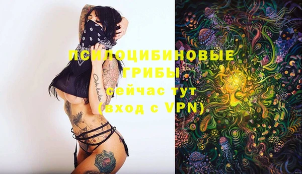таблы Каменка