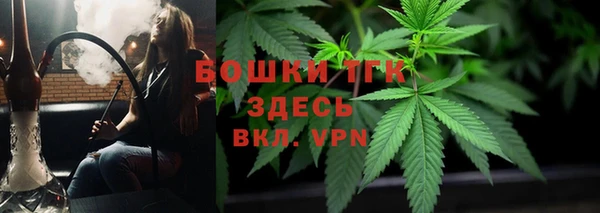стафф Каменногорск