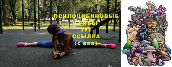стафф Каменногорск