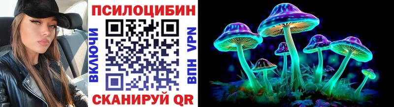 Галлюциногенные грибы Psilocybe  Купить  Ржев 